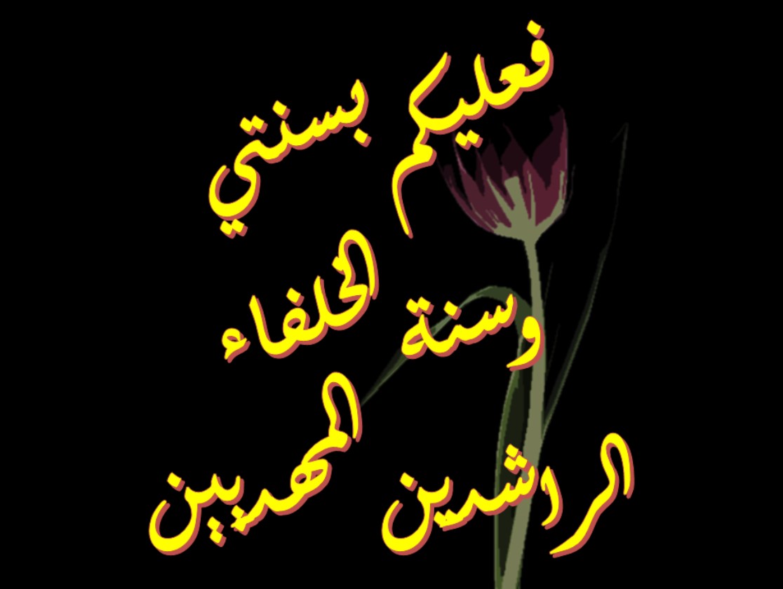 عليكم بسنتي وسنة الخلفاء الراشدين