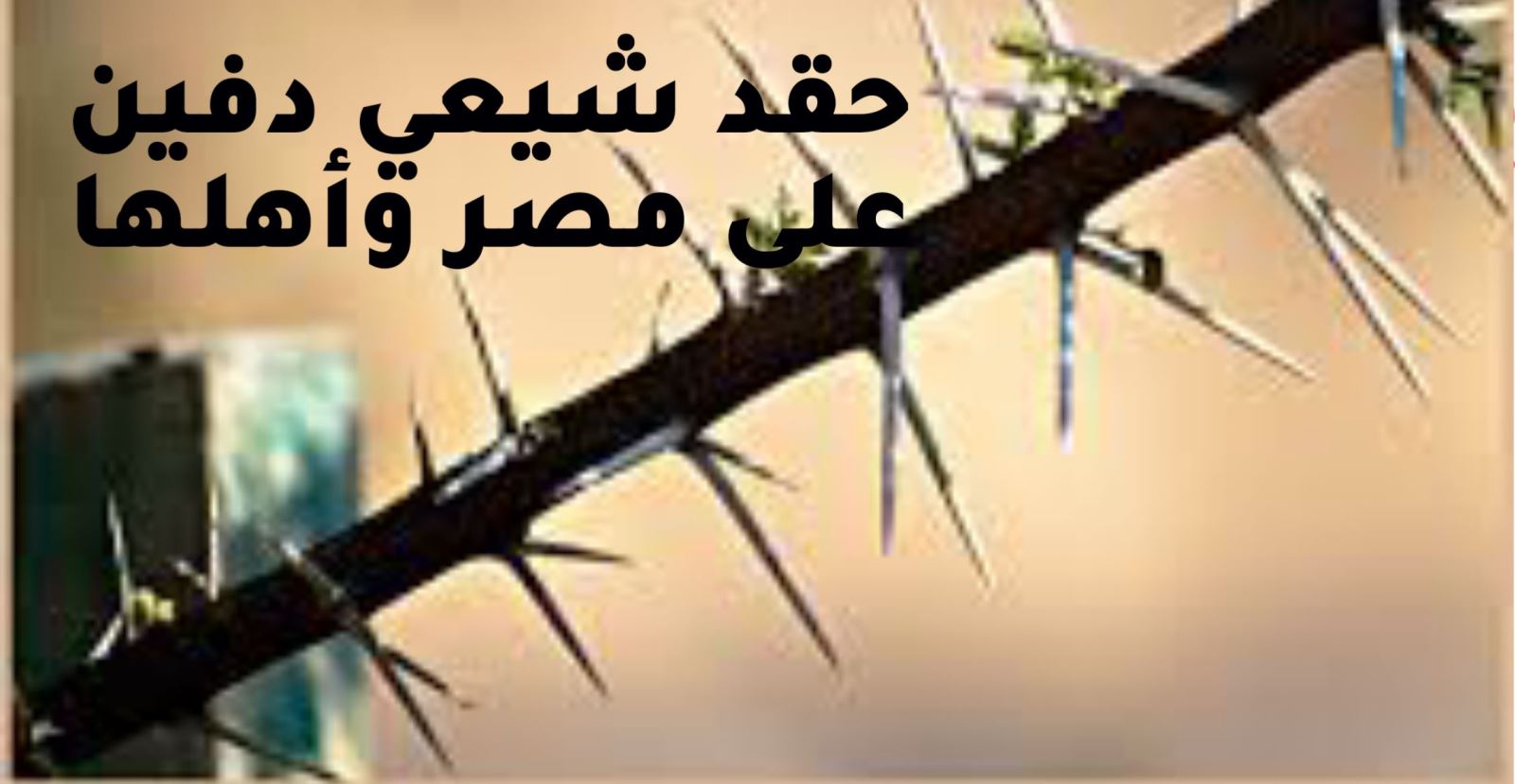 حقد ٌشيعيٌ دفين على مصر وأهلها