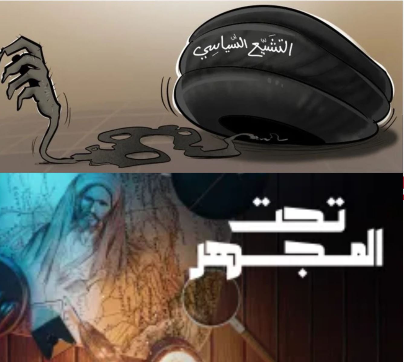 التشيع السياسي تحت المجهر