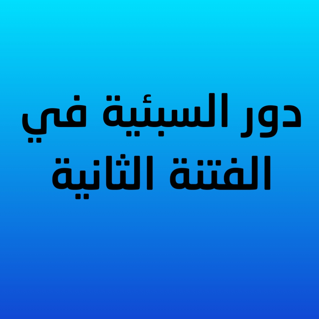 20- دور السبئية في الفتنة الثانية 