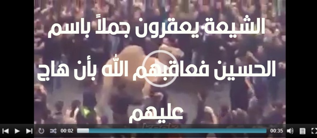 الشيعة يعقرون جملاً باسم الحسين فعاقبهم الله بأن هاج عليهم